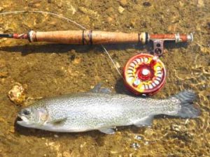 Custom Fly Rod with Trout